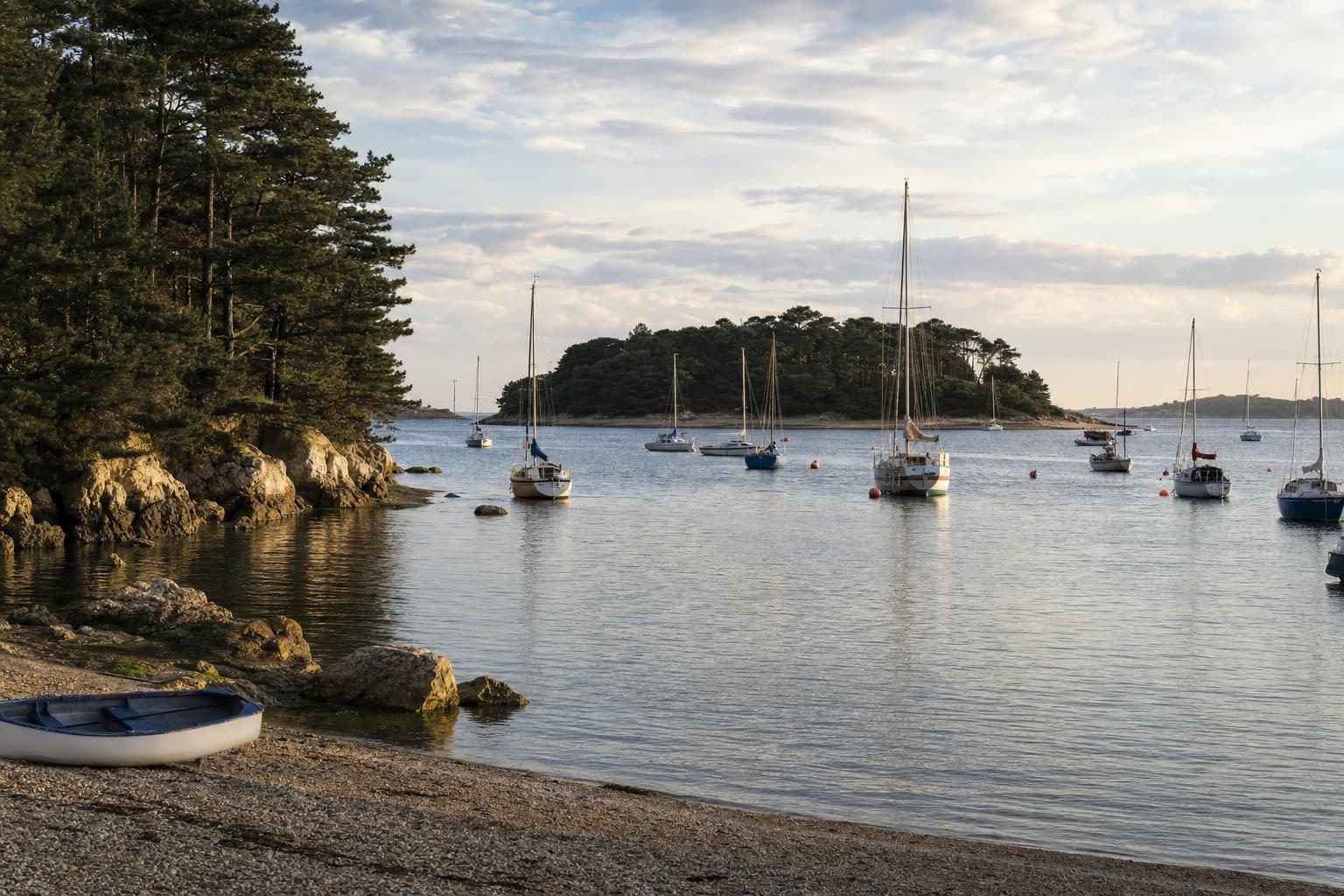 Poole, Dorset — tree surgery and land management by Heartwood