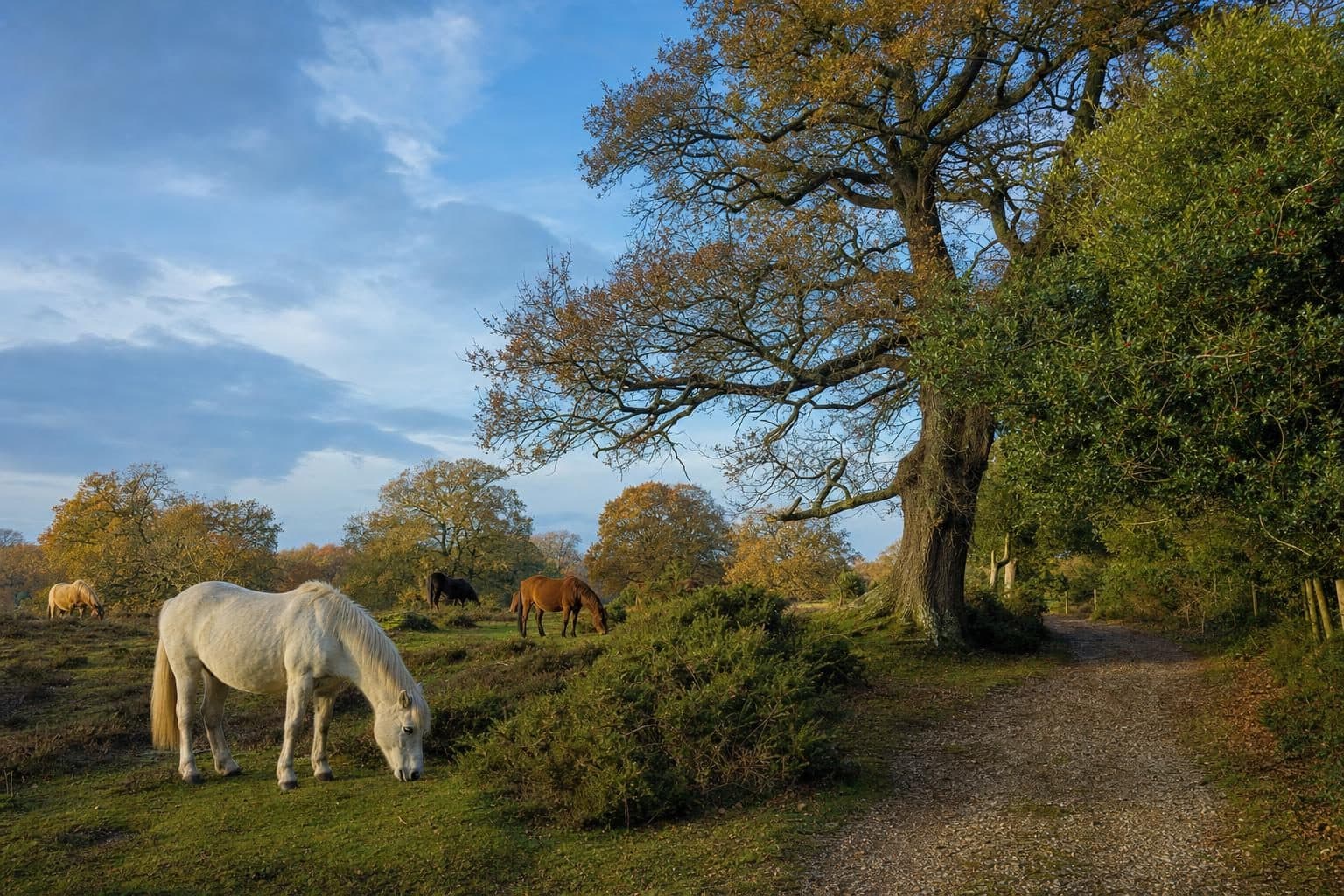 Ringwood, Dorset — tree surgery and land management by Heartwood
