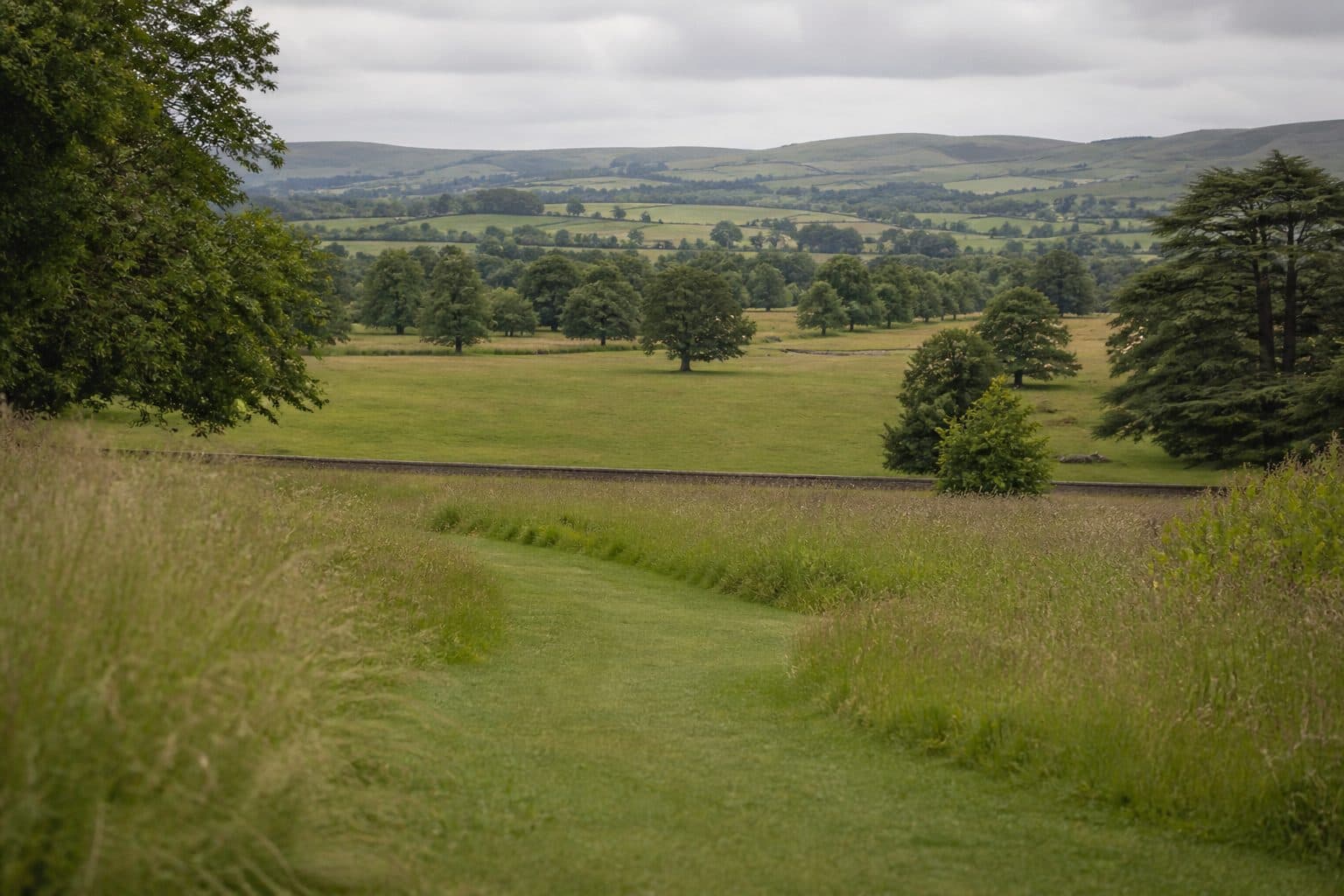 A designed parkland landscape with mown paths through meadow grass
