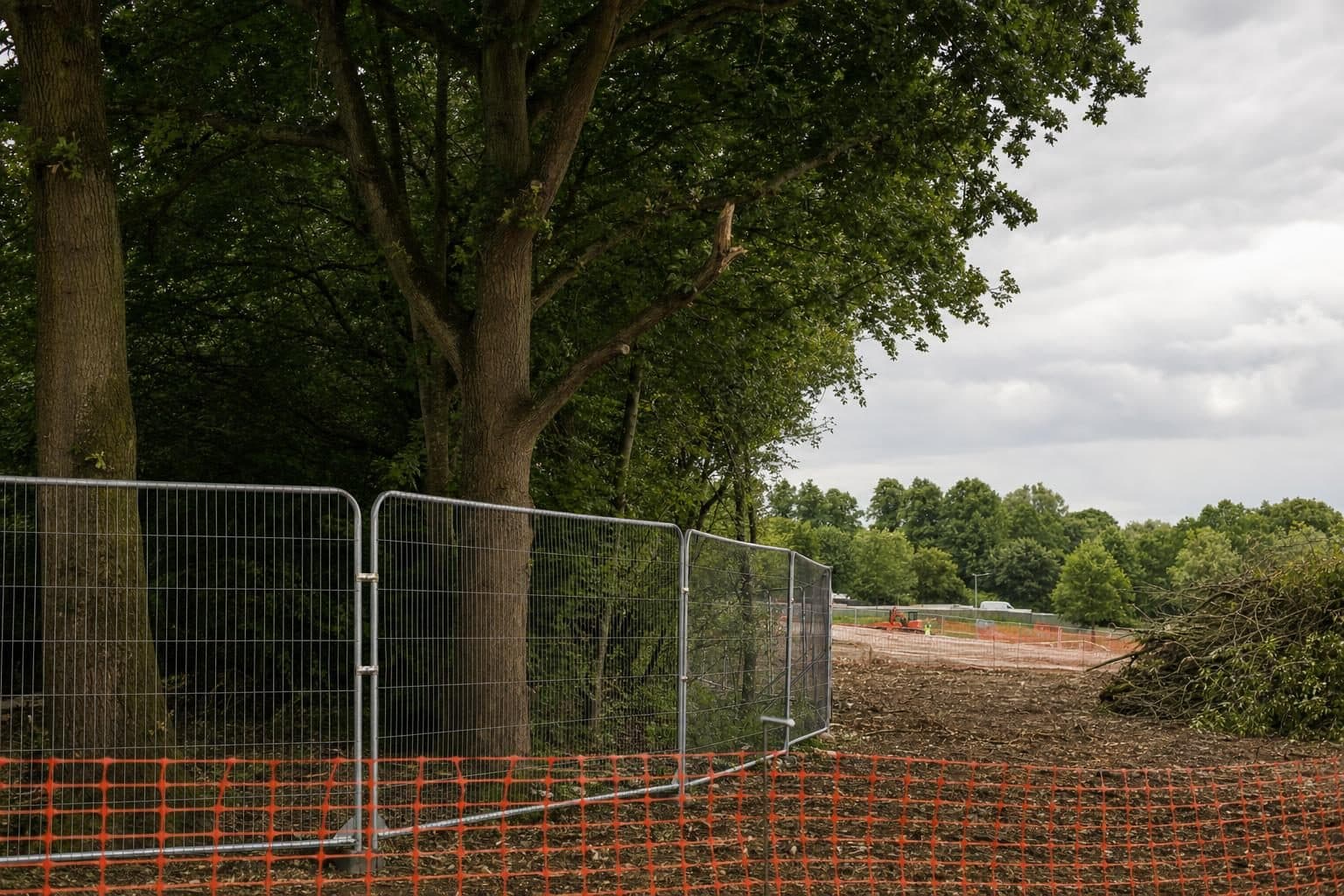 Protective fencing around retained trees on a development site