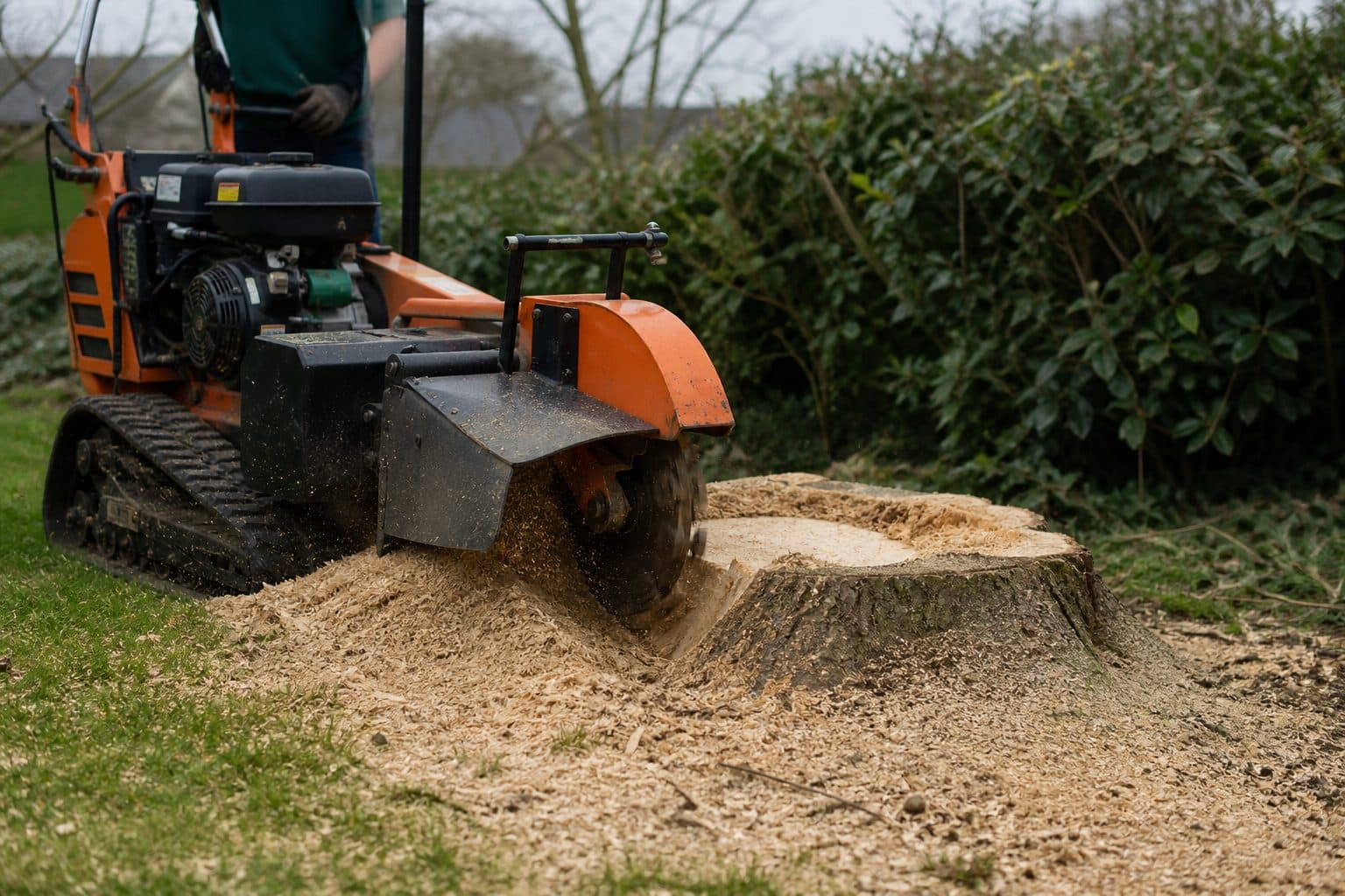 A tracked stump grinder removing a tree stump from a garden lawn