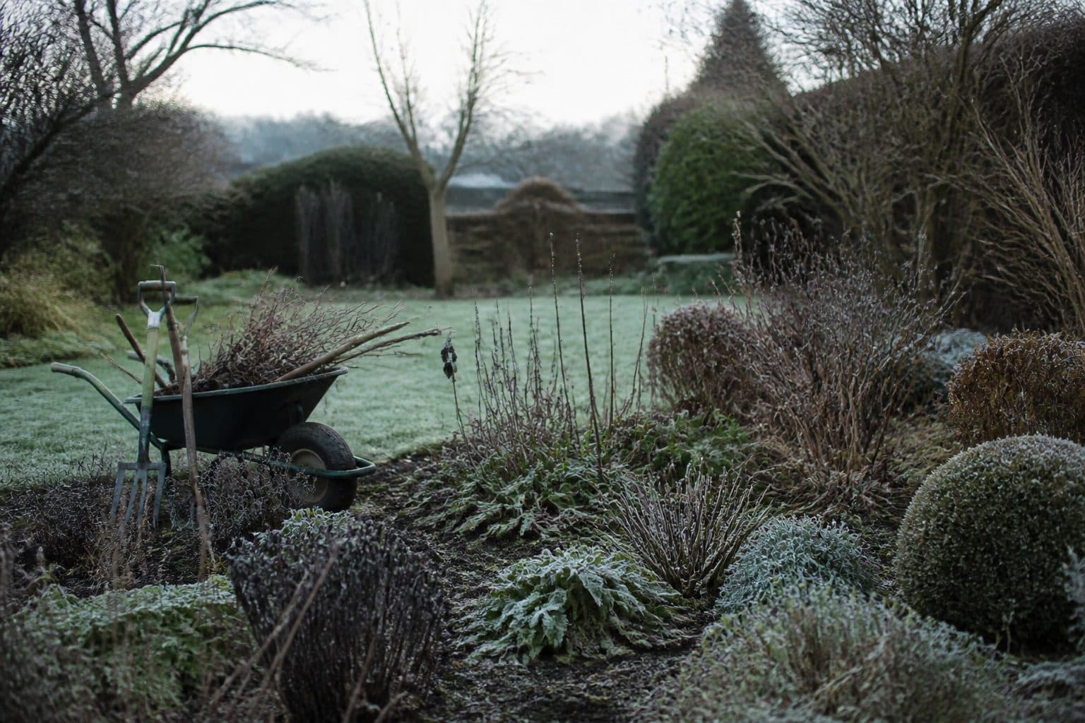 A frosted Dorset garden in winter with tools and cut prunings
