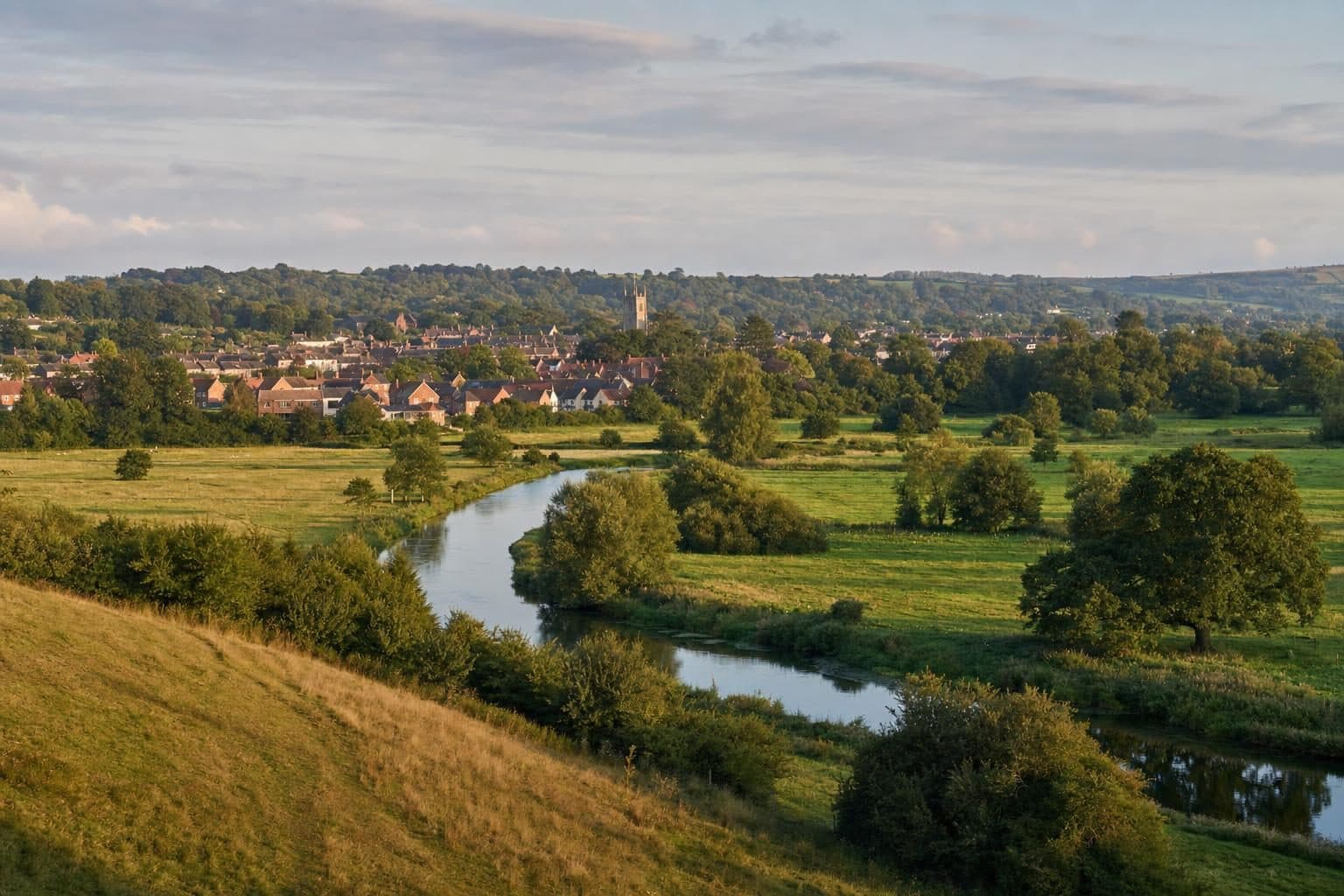 Blandford Forum, Dorset — tree surgery and land management by Heartwood