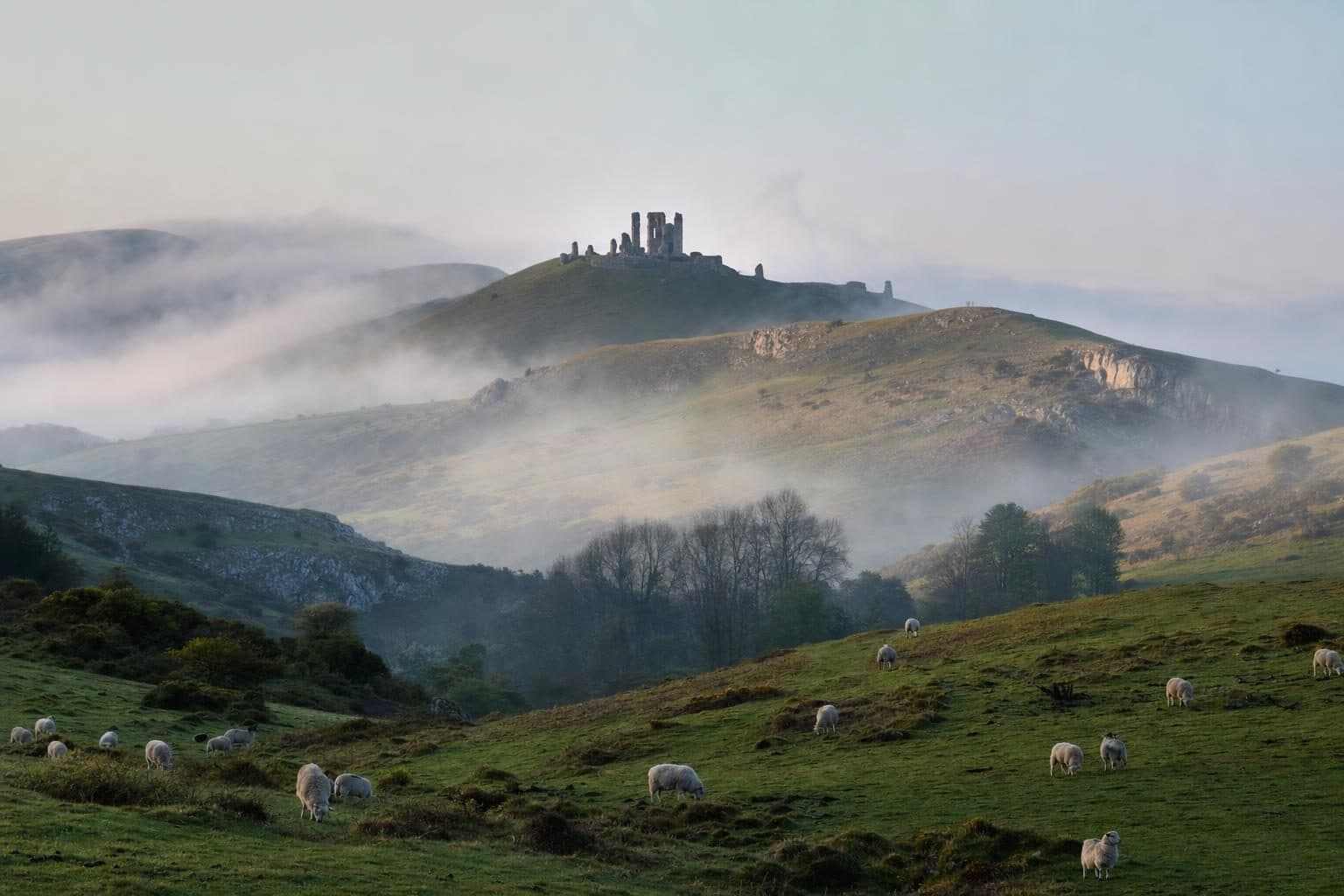 Purbeck, Dorset — tree surgery and land management by Heartwood