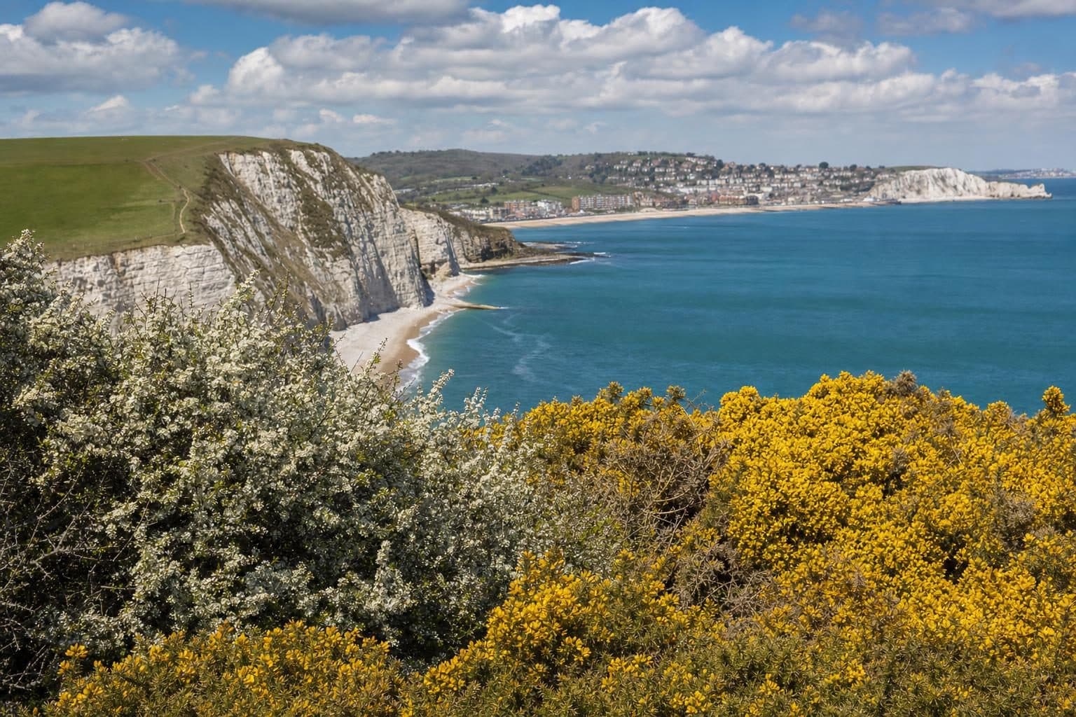 Swanage, Dorset — tree surgery and land management by Heartwood