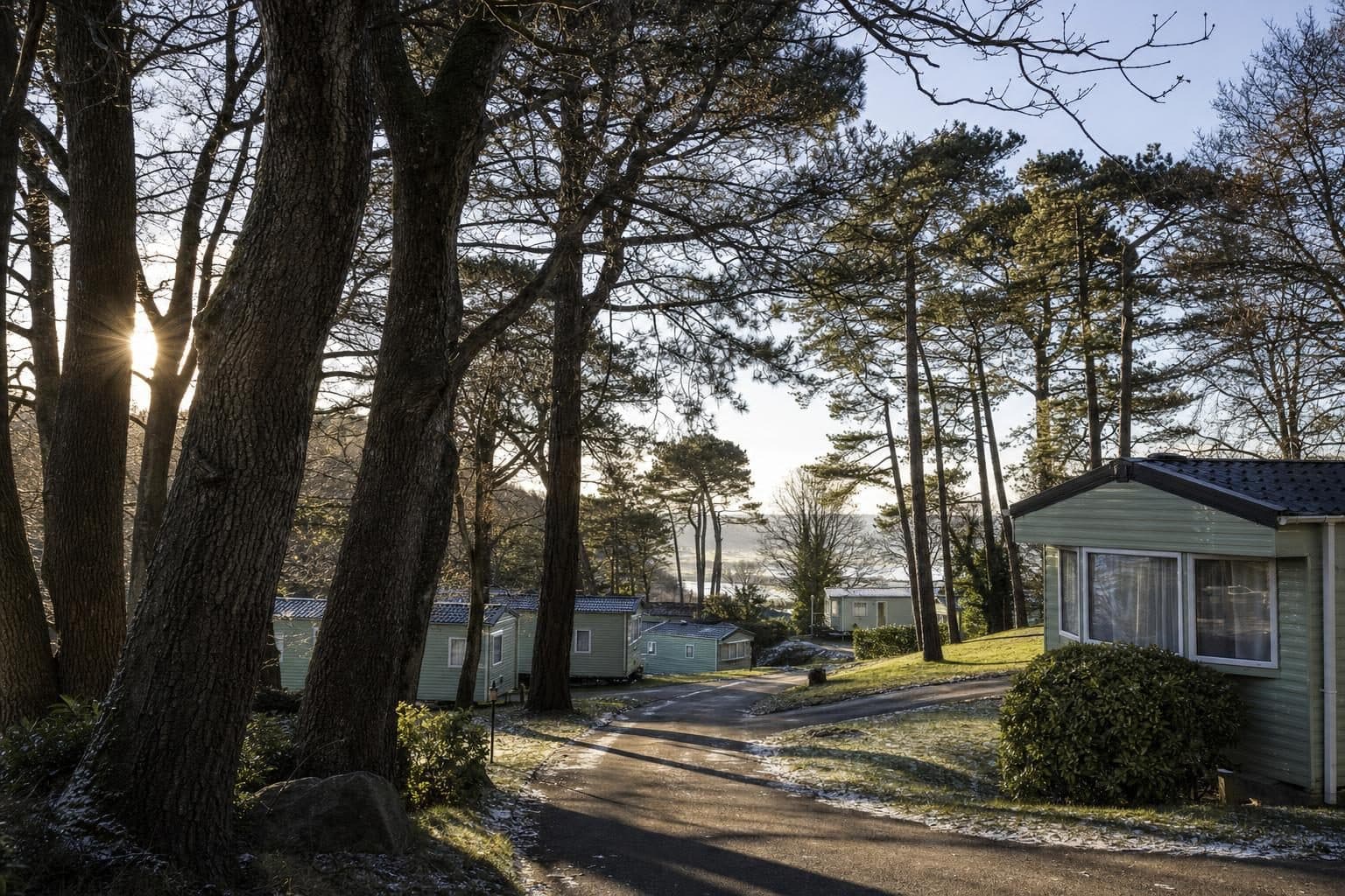 A quiet holiday park in winter with caravans among mature pines