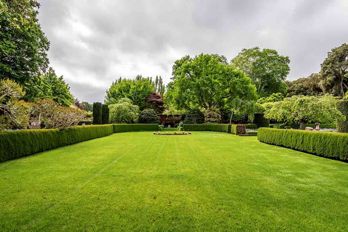 Careful pruning work on a mature estate tree