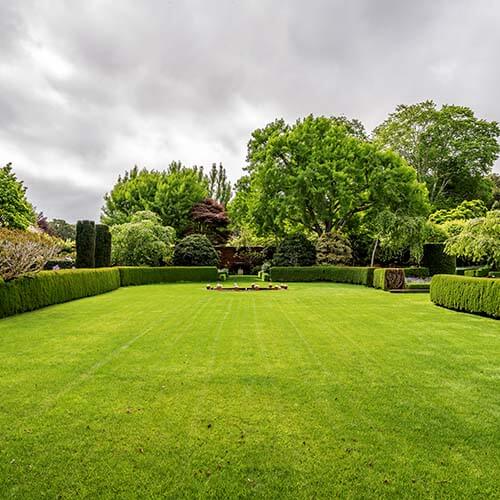 Winter tree and hedge work in a Dorset garden
